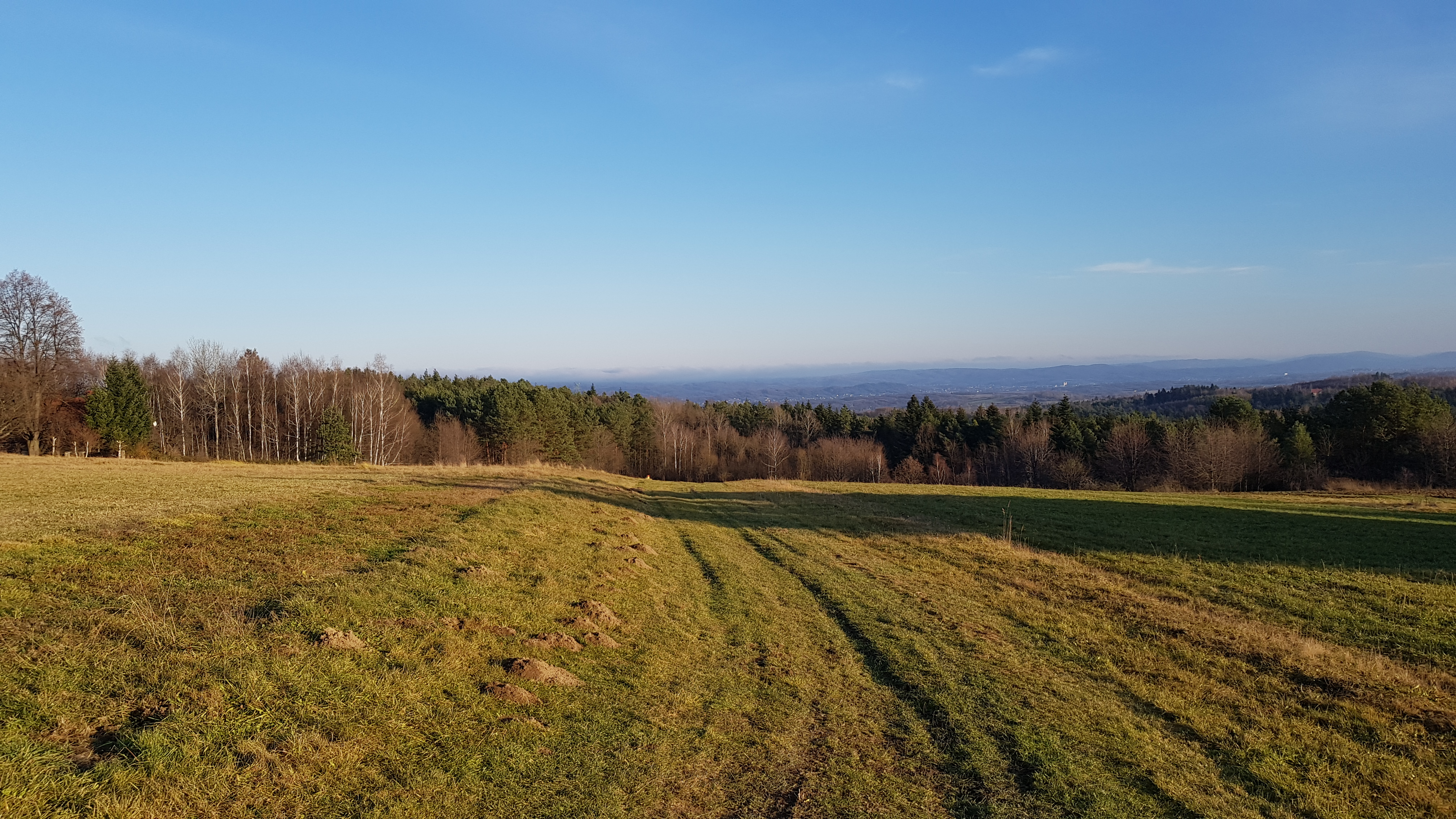 2021-11-27 Tajemnicza figura św. Piotra